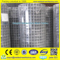 Low price galvanized welded wire mesh & professional factory
